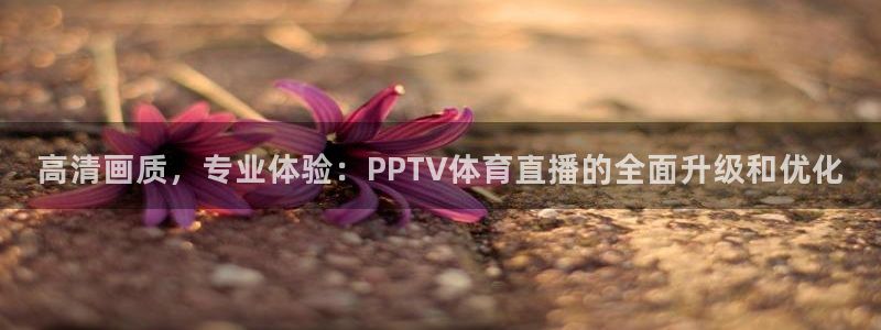 熊猫怎样直播：高清画质，专业体验：PPTV体育直播的全面升级和优化