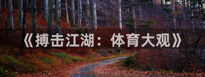 熊猫游戏直播：《搏击江湖：体育大观》
