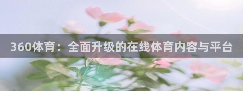 熊猫高清直播：360体育：全面升级的在线体育内容与平台