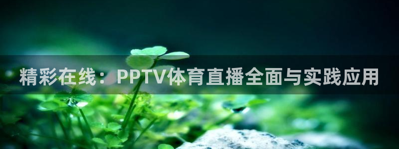 熊猫足球直播平台：精彩在线：PPTV体育直播全面与实践应用