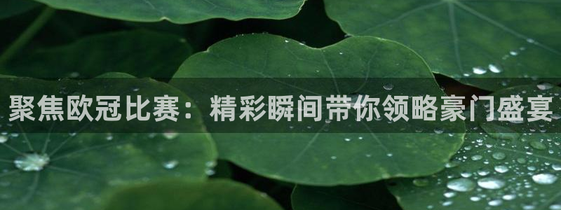 熊猫体育直播新的好游戏.认证网.org
