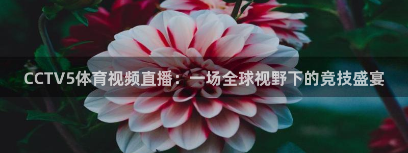 熊猫体育直播体验升级版.苹果进.org：CCTV5体育视频直播：一场全球视野下的竞技盛宴