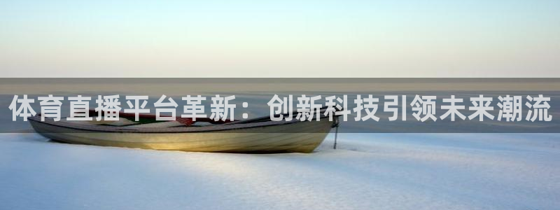 熊猫足球直播平台：体育直播平台革新：创新科技引领未来潮流