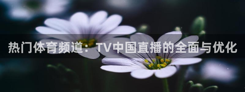 熊猫直播下载官网：热门体育频道：TV中国直播的全面与优化