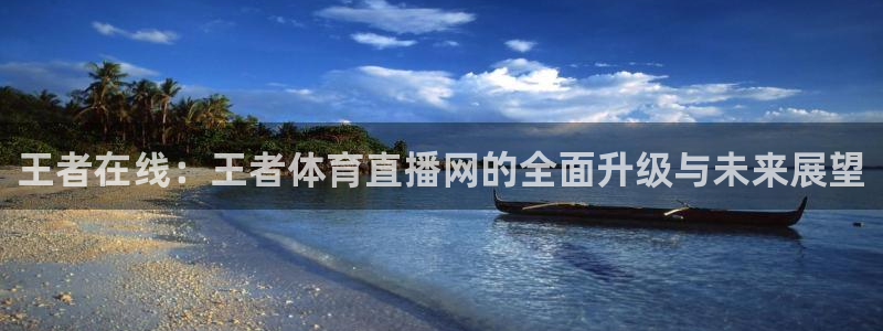 熊猫的视频：王者在线：王者体育直播网的全面升级与未来展望