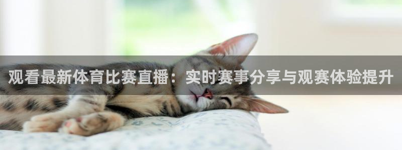 熊猫体育nba：观看最新体育比赛直播：实时赛事分享与观赛体验提升