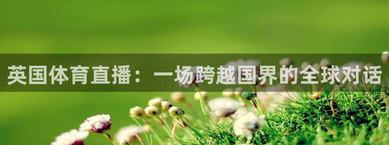 熊猫体育足球直播在线观看：英国体育直播：一场跨越国界的全球对话