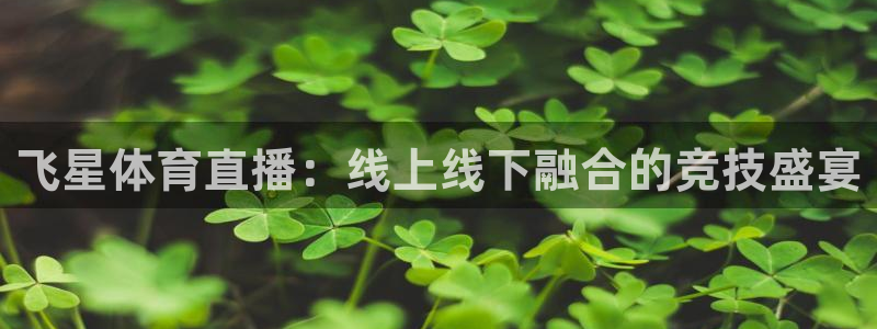 熊猫直播免费观看：飞星体育直播：线上线下融合的竞技盛宴