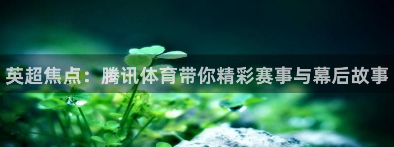 熊猫体育平台：英超焦点：腾讯体育带你精彩赛事与幕后故事